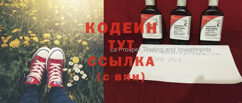 Кодеин Purple Drank  продажа наркотиков  Гагарин 